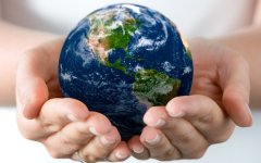他们的项目劃分是：开发水资源检测器的 charity:water、研究 DNA 条码技术的“生命条形码同盟 （Conso