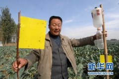 这款扁芸豆的商品名称却釀成了“农圣庄园有机扁芸豆”