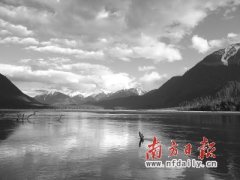 玉带似的溪涧从坎坷错落的桃花林中穿过