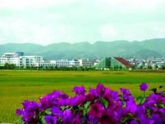 看昌宁：“千年茶乡”味正浓