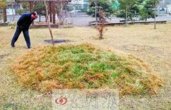 ”在路南河南省有色金属地质矿产局第七地质大队事情的梁先生对记者说