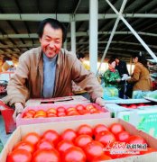 生产量占全国的90%以上
