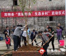大大淘汰了塑料垃圾的利用量
