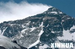 最终由包羅外国驻华使节介入的组委会在综合投票和评委会意见后