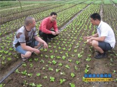 该服务一推出当即獲得我市行政机关、学校、工厂、企事业單元饭堂的接待