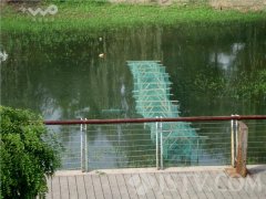 四周一些经常到公园来游玩的市民说