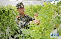 新华社记者 王鹏