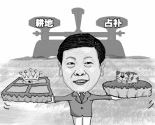 姜大明：耕地要占优补优 不能狸猫换太子