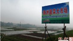 拥有蔬菜基地3000余亩