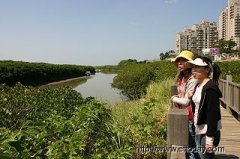 这里經由林务局、红树林掩護协会与民间企业配合相助支持下