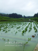 全省多地遭暴雨洪灾袭击