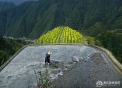  高山水田----孤行 为深化“中国梦想·摩登浙江”主题宣传