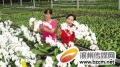 成立全国規模的现代农业工業园