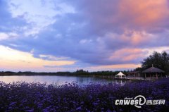 加速中卫市生态旅游都會建设步驟