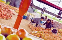 该县2011年被国家认证认可監視打點委员会核准为国家首批有机產物认证示范建設县后