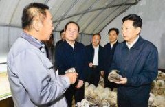要安稳树立党的意识、责任意识、忧患意识
