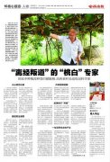 包产到户的改良東風已经吹到了山区
