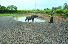 长江中下游部門地域将泛起36℃晴热高温天气