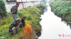  相关热词搜索： 张店 猪龙河现鲇鱼 市民垂钓