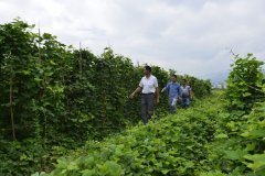 刚陪同外省专家到乡镇考查农业工業化回到办公室的俞先碧说