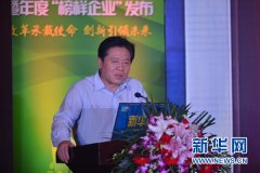  以下为文字实录：     能源问题与经济结构、经济生長的阶段性
