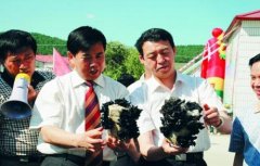 本网将依法维权
