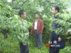 通过座谈、农户观测、生产投入品检查（包羅田间生产档案和农药肥料堆疊检查）和生产基地现场检查（重点检查产地域域的污染源及受