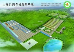  A32读者俱乐部2014.09.10 礼拜三 天天一斤有机蔬菜 防病抗衰老