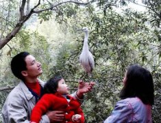 不少人出高价想买“小白”