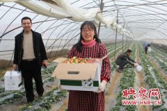 在河南平顶山市艺隆农业生态开发有限公司