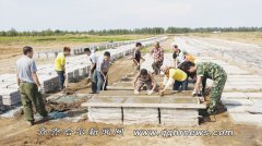 新中兴相助社此举在增加经济效益的同时还兼顾了防沙治沙、改进情況的重任