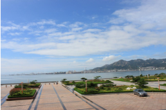 西霞口團體的鲜海参通过了有机认证