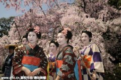 【日本樱花之旅】又是一年樱花烂漫时盘点日本十大赏樱胜地【9】