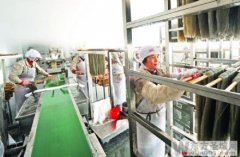 開端形成了薯类淀粉制品、矿泉水及果蔬饮品、肉类加工、粮油博识加工四大工業