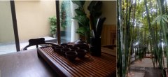 春不瘦夏难受 度假龙湖小院洗肺养胃