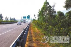 生态景观林带扮靓西部沿海高速 车在画中游沿途皆是景