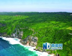 製作计划中还包羅两间餐厅、泳池吧、设有主厨餐桌的特色餐厅、烹饪学校及有机花园