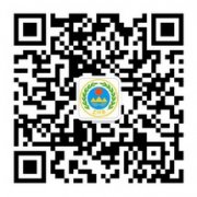 打造了指尖服务新模式
