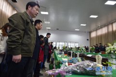 市民介入“集团共祭”无需任何用度