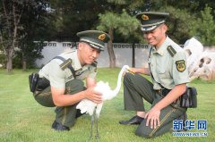 民警通过上网查询