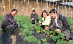 让村民的糊口越过越红火