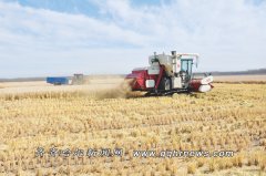 富饶县万亩水田示范基地水稻已完玉成部收割