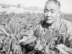 每公斤價錢在14元阁下