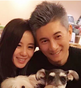 又因何而落呢？毕竟蔡少芬吴奇隆恋情为何分离？