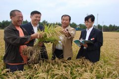  绿色食品原料水稻尺度化生产基地建设