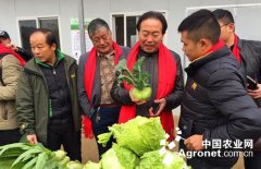 还能以较低的價錢泛起在消费者的餐桌上