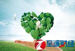 国家发改委气候司副司长蒋兆理暗示