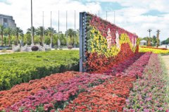 39万盆鲜花扮靓滇池度假区迎南博